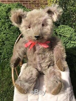Wisty Rare 1920's/30's Purple Mohair Bear Old Antique American Teddy