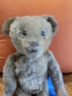Wonderful 14 Antique Mohair Teddy Bear with Shoebutton Eyes