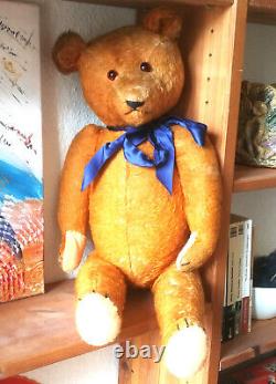 Wonderful 22 German mohair humpback Petz Teddy rare orange color 1920's