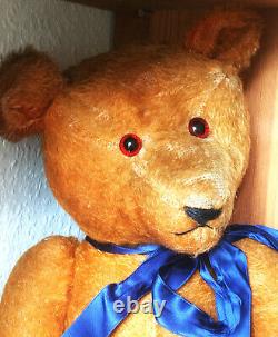 Wonderful 22 German mohair humpback Petz Teddy rare orange color 1920's