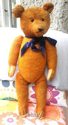 Wonderful 22 German mohair humpback Petz Teddy rare orange color 1920's