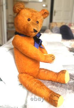 Wonderful 22 German mohair humpback Petz Teddy rare orange color 1920's