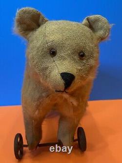 Wonderful Antique 12 Mohair Teddy BEAR ON WHEELS Glass Eyes Hump Rare Toy AAFA