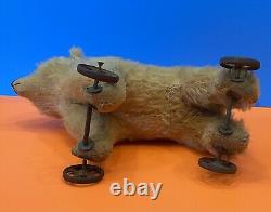 Wonderful Antique 12 Mohair Teddy BEAR ON WHEELS Glass Eyes Hump Rare Toy AAFA