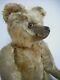 Wonderful Rare Early 14 Omega British Mohair Teddy Bear With Great Character