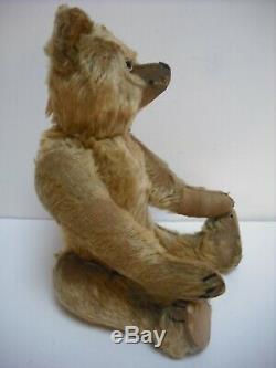 Wonderful Rare Early 14 Omega British Mohair Teddy Bear With Great Character